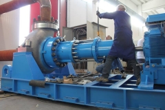 Centrifugal Magnetic Drive Pump